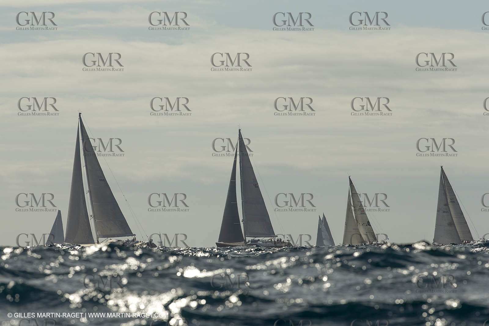 GMR_VST013D6_2270.jpg