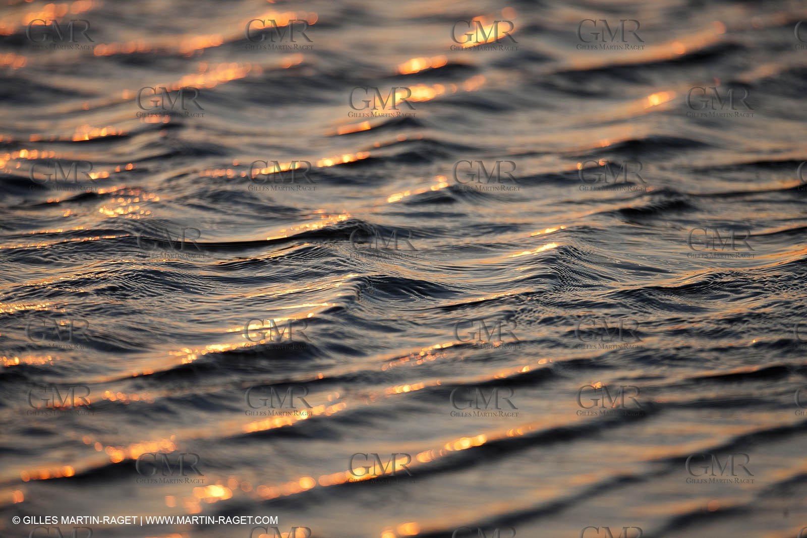 25 05 2011 - Les Saintes Maries de la Mer (FRA,13) - gypsies gathering