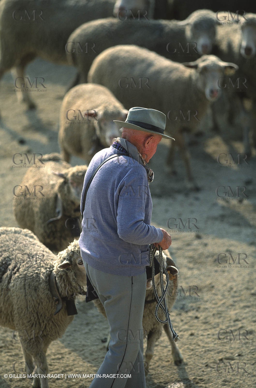 Saint Rémy de Provence (FRA,13) - Fête de la Transhumance