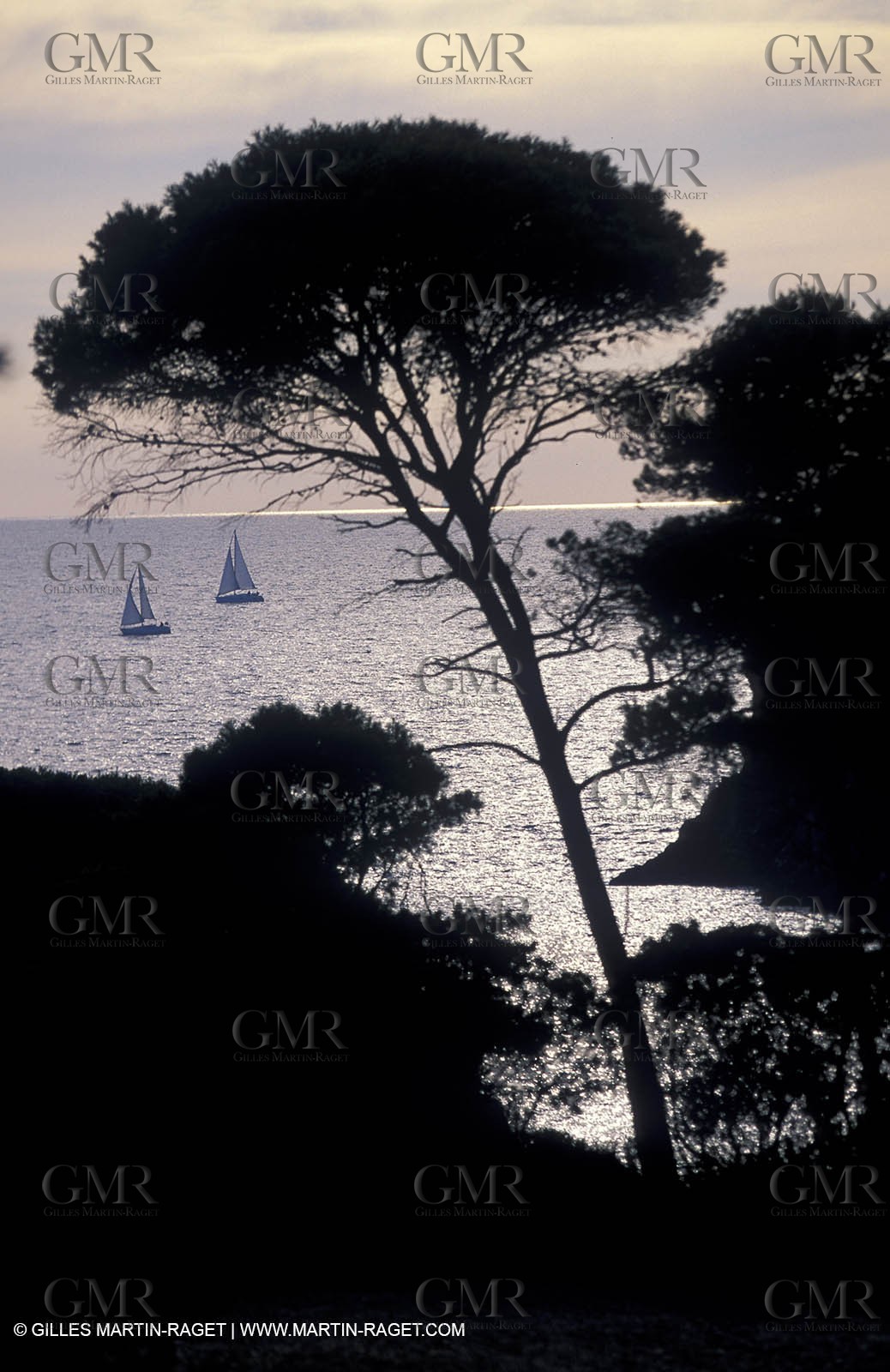 Porquerolles Island