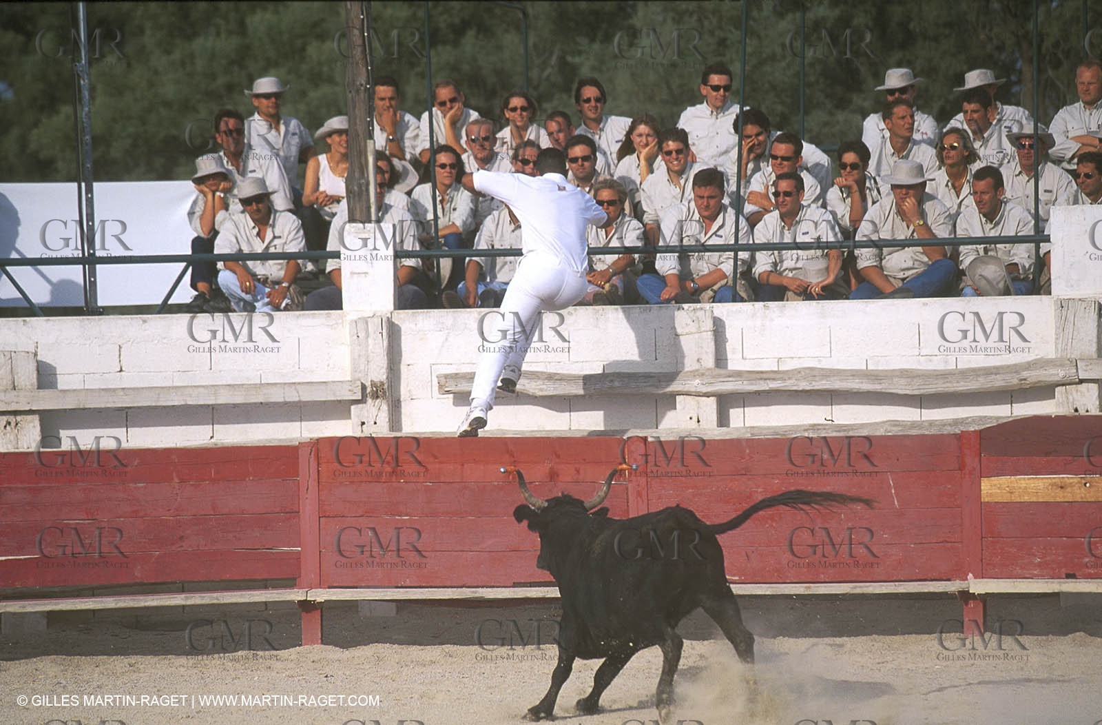 Camargue Bull game