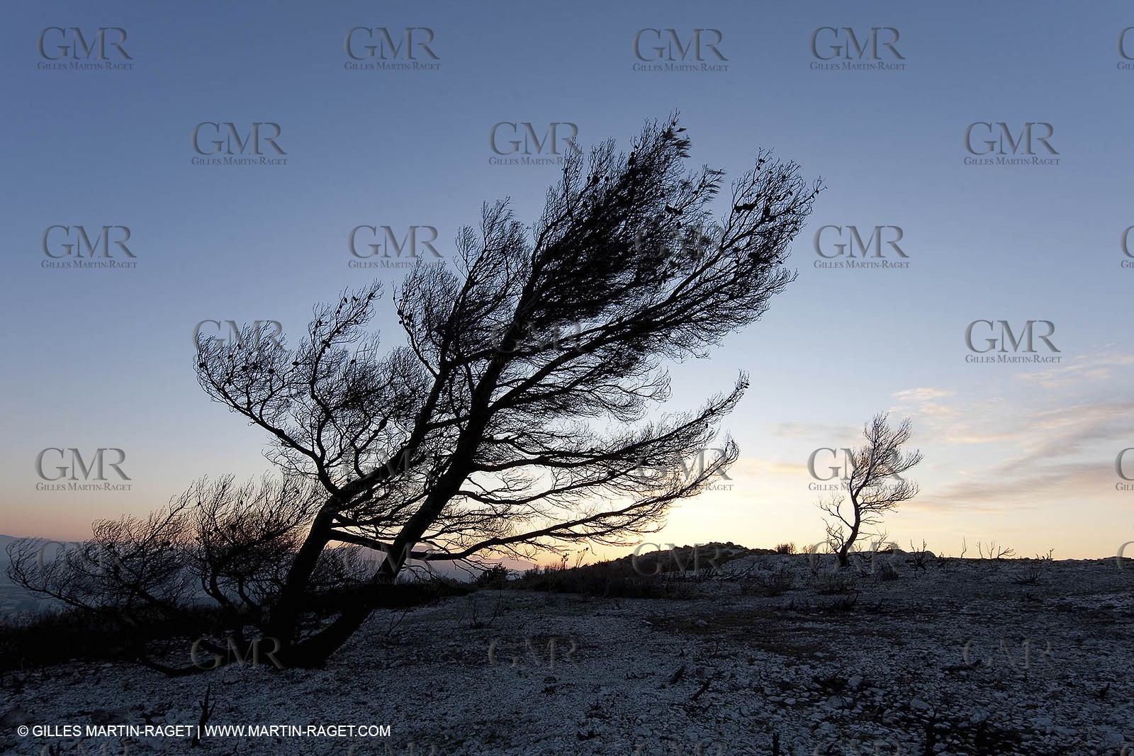 26 03 2009 - Marseille (FRA, 13) - Les Calanques