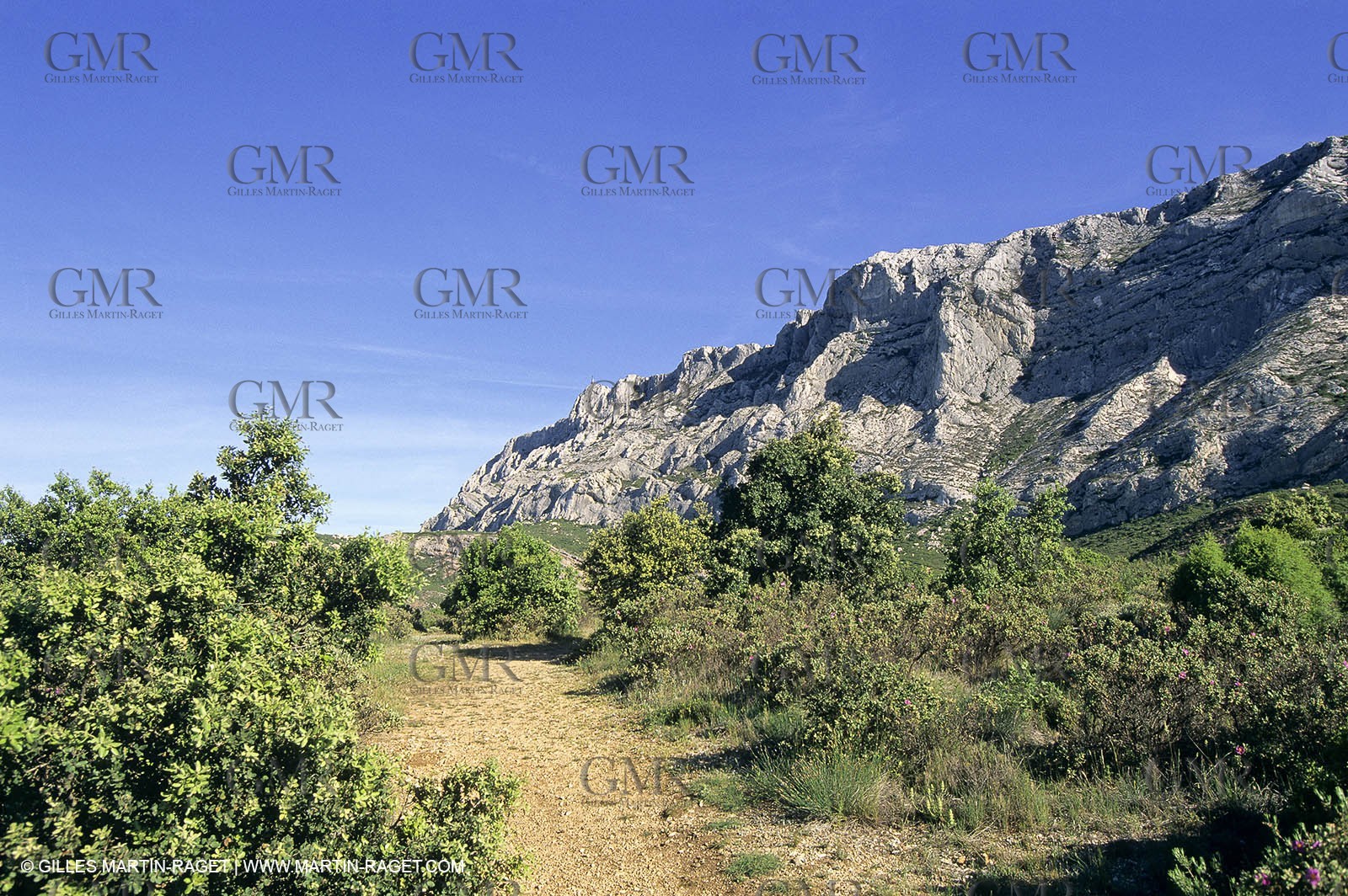 Aix en Provence area - Sainte Victoire mountain