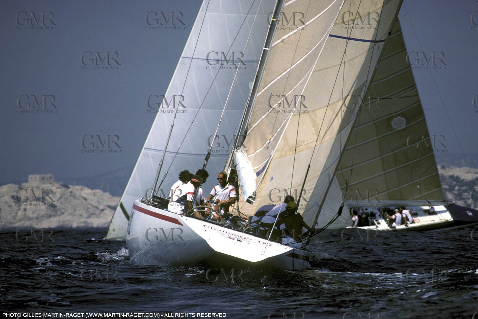 AmCup8312.jpg