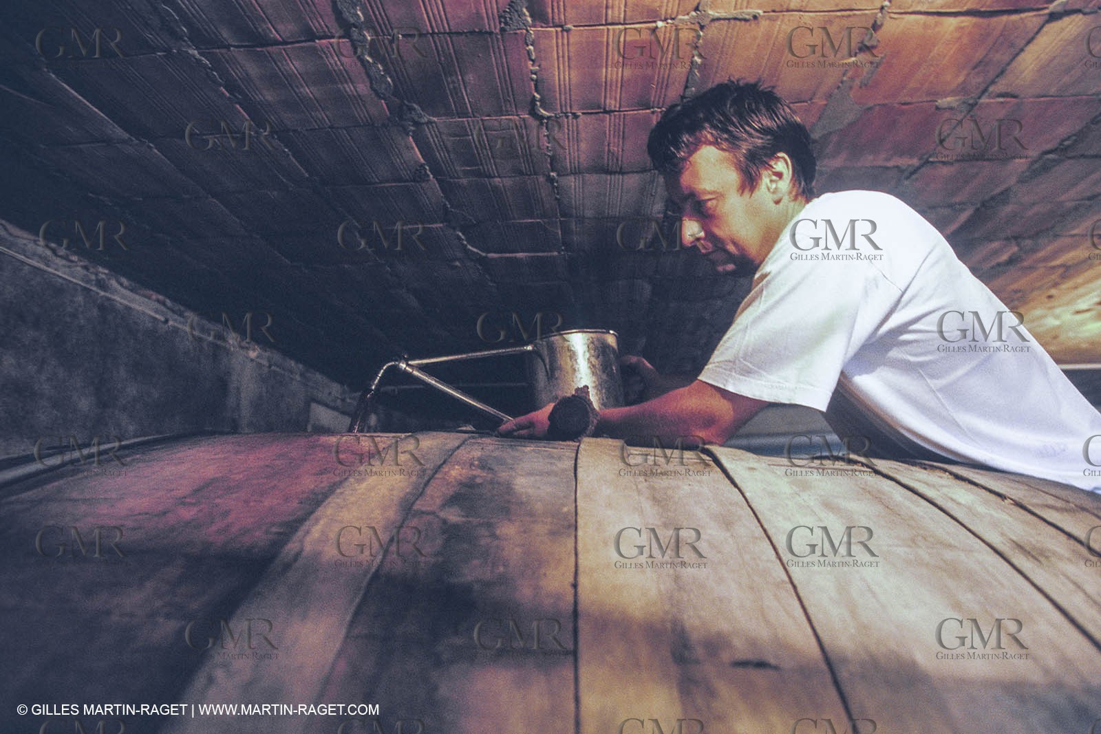 Vin, Vigne , Vendanges, vignification, vignobles, France, Provence, Côte du Rhône, Rosé