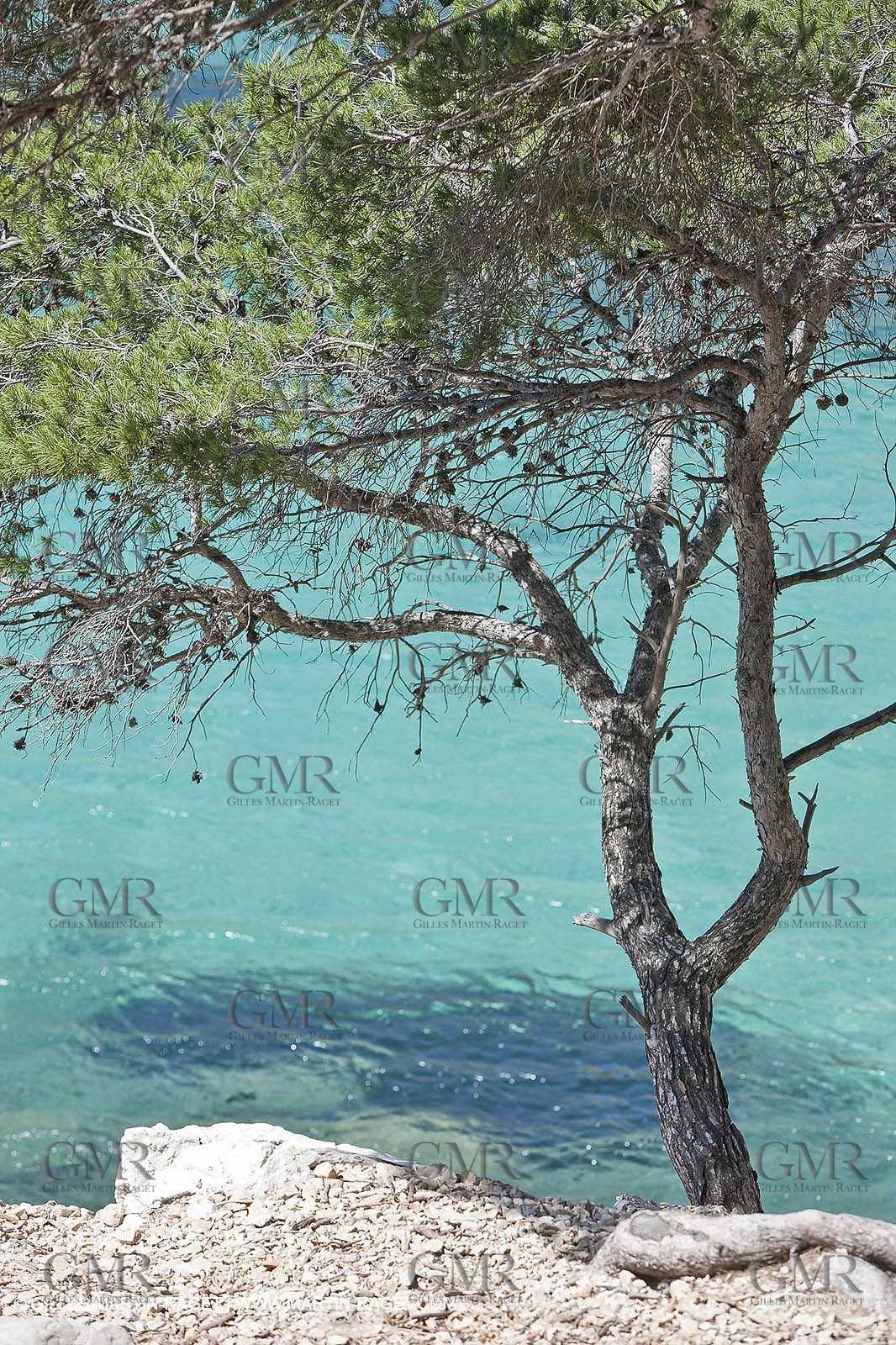 27 05 2009 - Marseille (FRA, 13) - Les Calanques - Sormiou