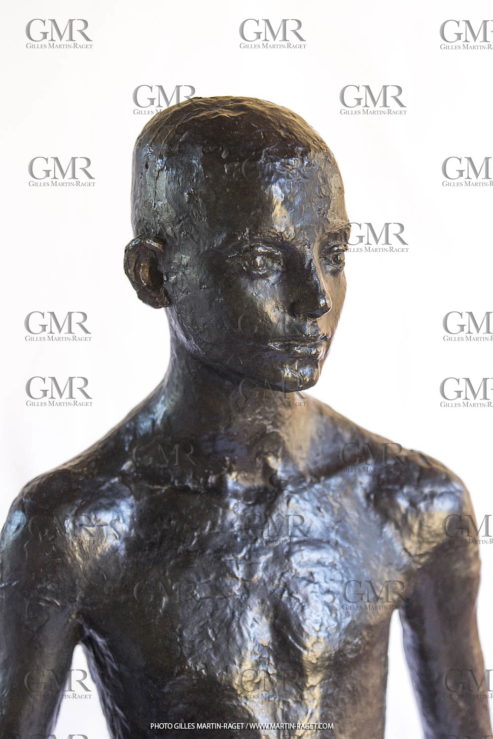 06 03 2016, Saint-Etienne du Grès (FRA,13), Oeuvre de Germaine Richier, Loretto I 1934, Bronze patiné foncé, Numéroté 4 6, fondeur Susse, Paris, 160 x 52 x 35 cm, Collection particulière