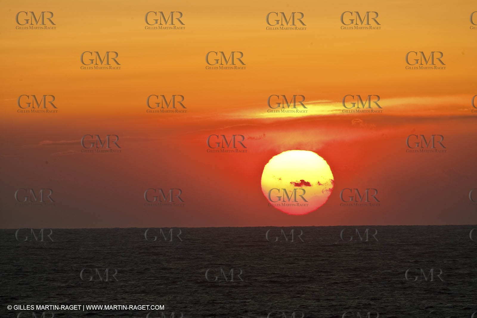 05 03 2009 - Pörquerolles Island south west coast (FRA, 83)