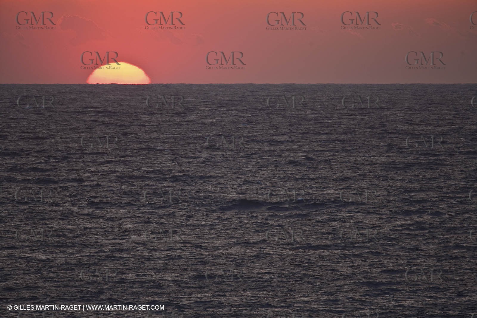 05 03 2009 - Pörquerolles Island south west coast (FRA, 83)