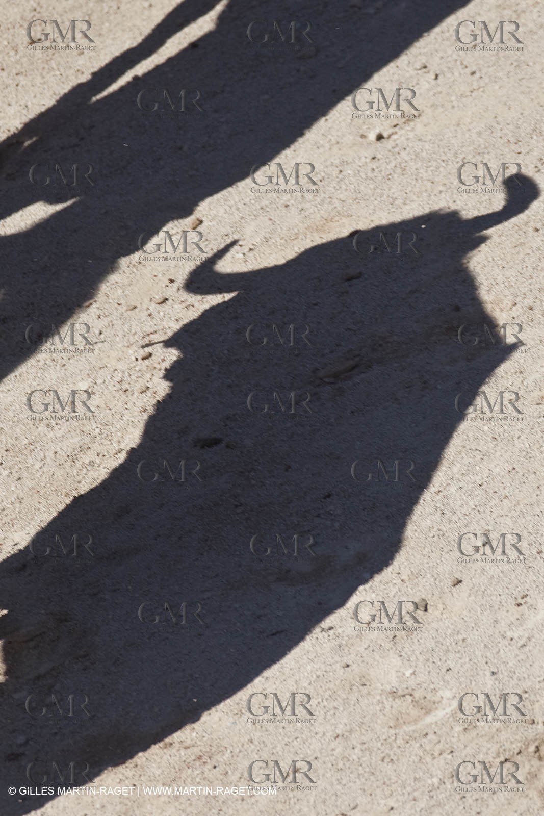 Monday 05 04 2010 - Arles (FRA,13) - Feria 2010 - -Corrida de rejon - Fermin Bohorquez - Pabloe Hemoso de Mendoza - Andy Cartagena - Toros Bohorquez