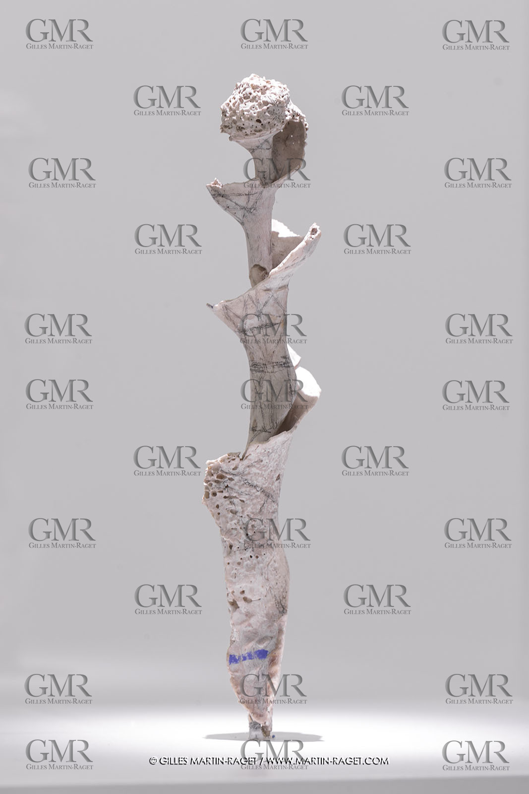 02 05 2023, Paris (FRA), oeuvre de Germaine Richier, Exposition Centre Pompidou 2023,  La Vrille, petite 1956, Coquillage avec tria,gulation, 21 x 4,5 x 4 cm, Collection particulière