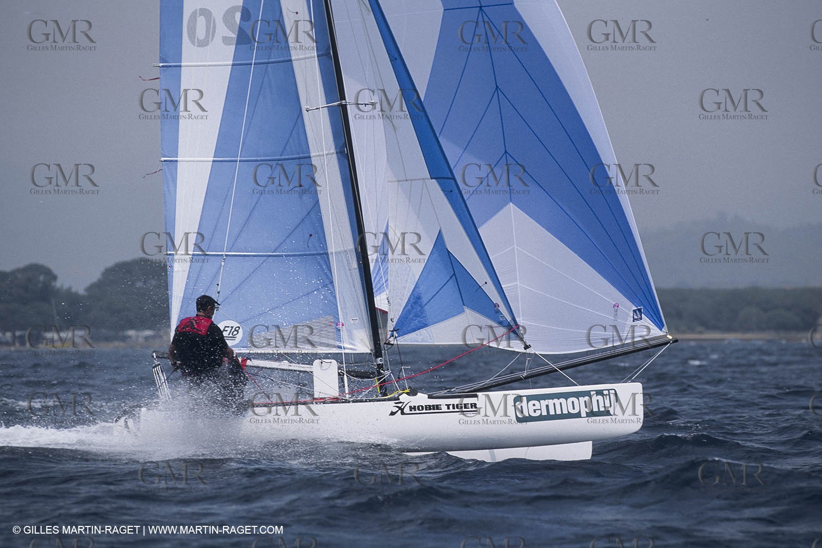 Sailing, Dinghies, catamran, free sailing, raids