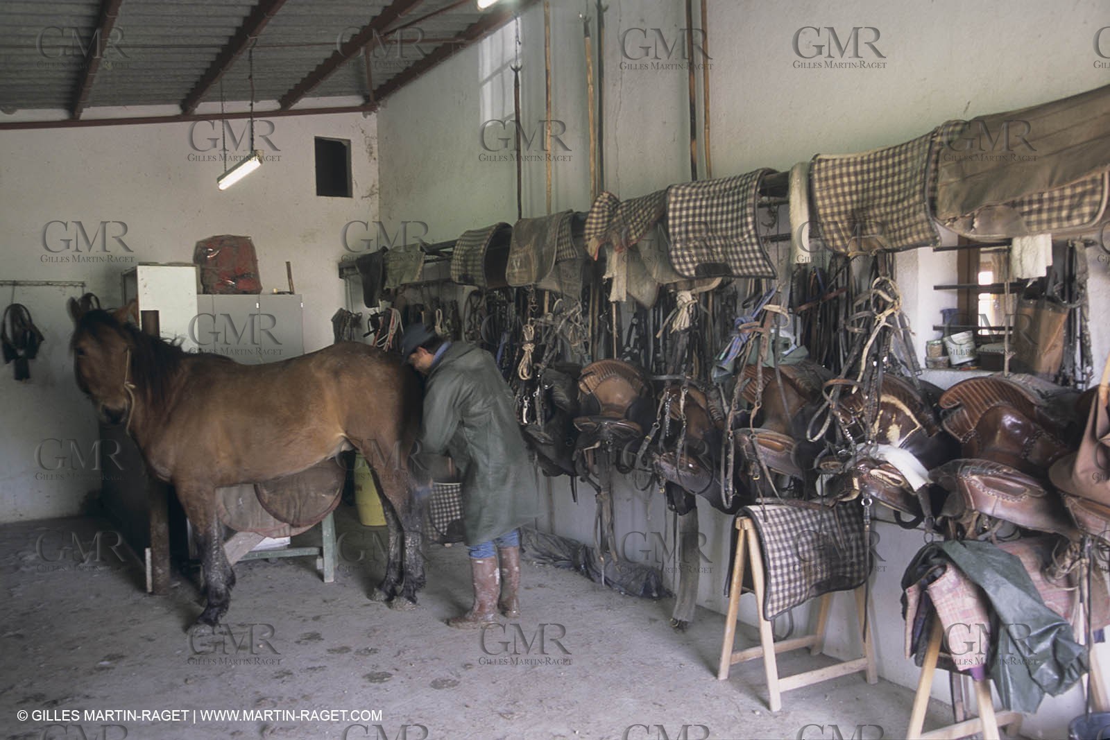 France, Provence, Camargue, Mas traditionnel de Camargue