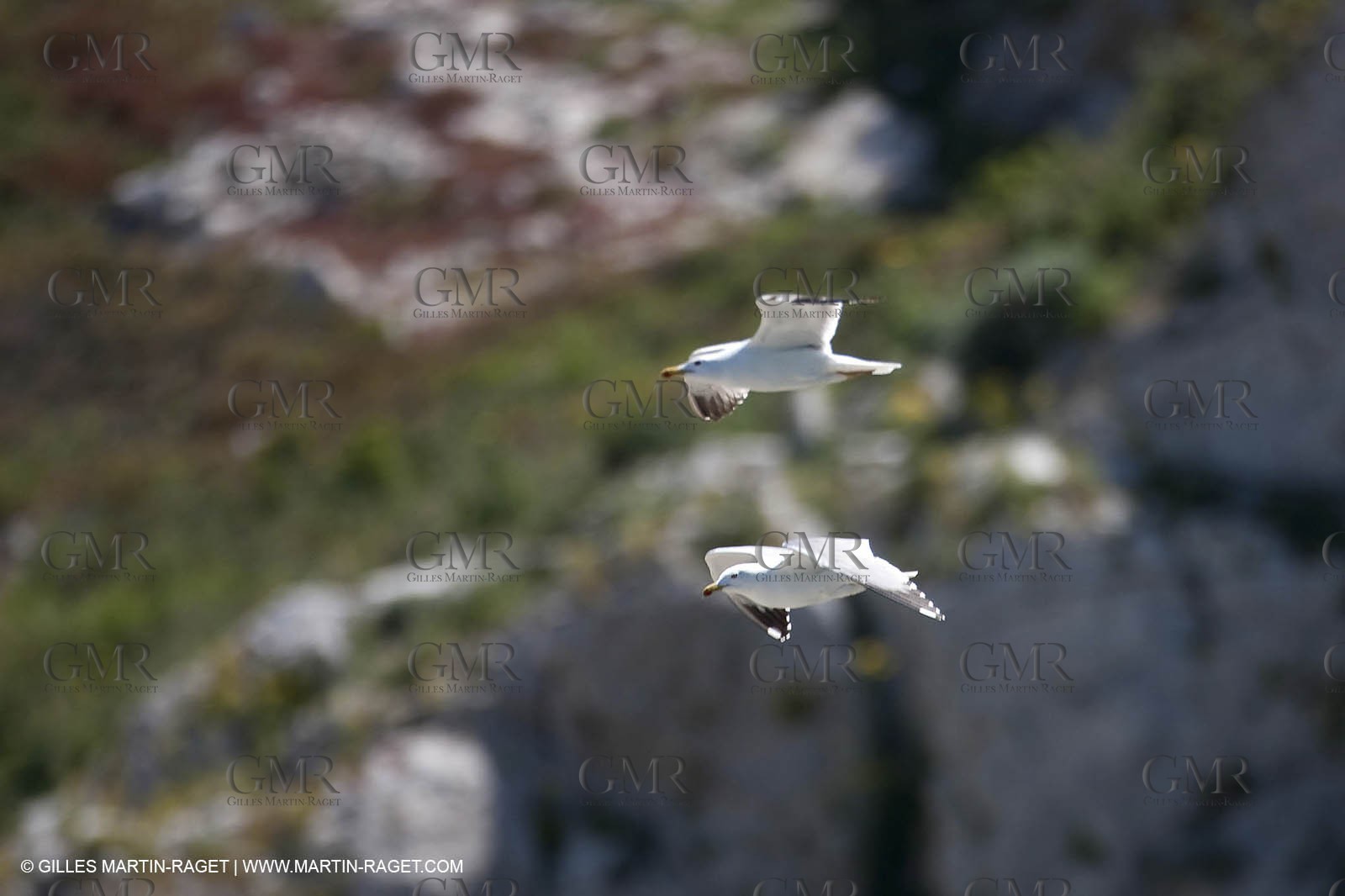 07 05 2009 - Marseille (FRA, 13) - Les Calanques - Riou