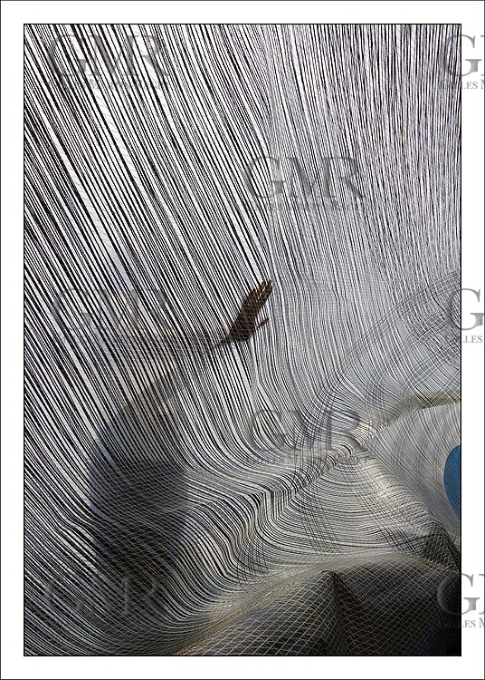 The Hand on The Sail