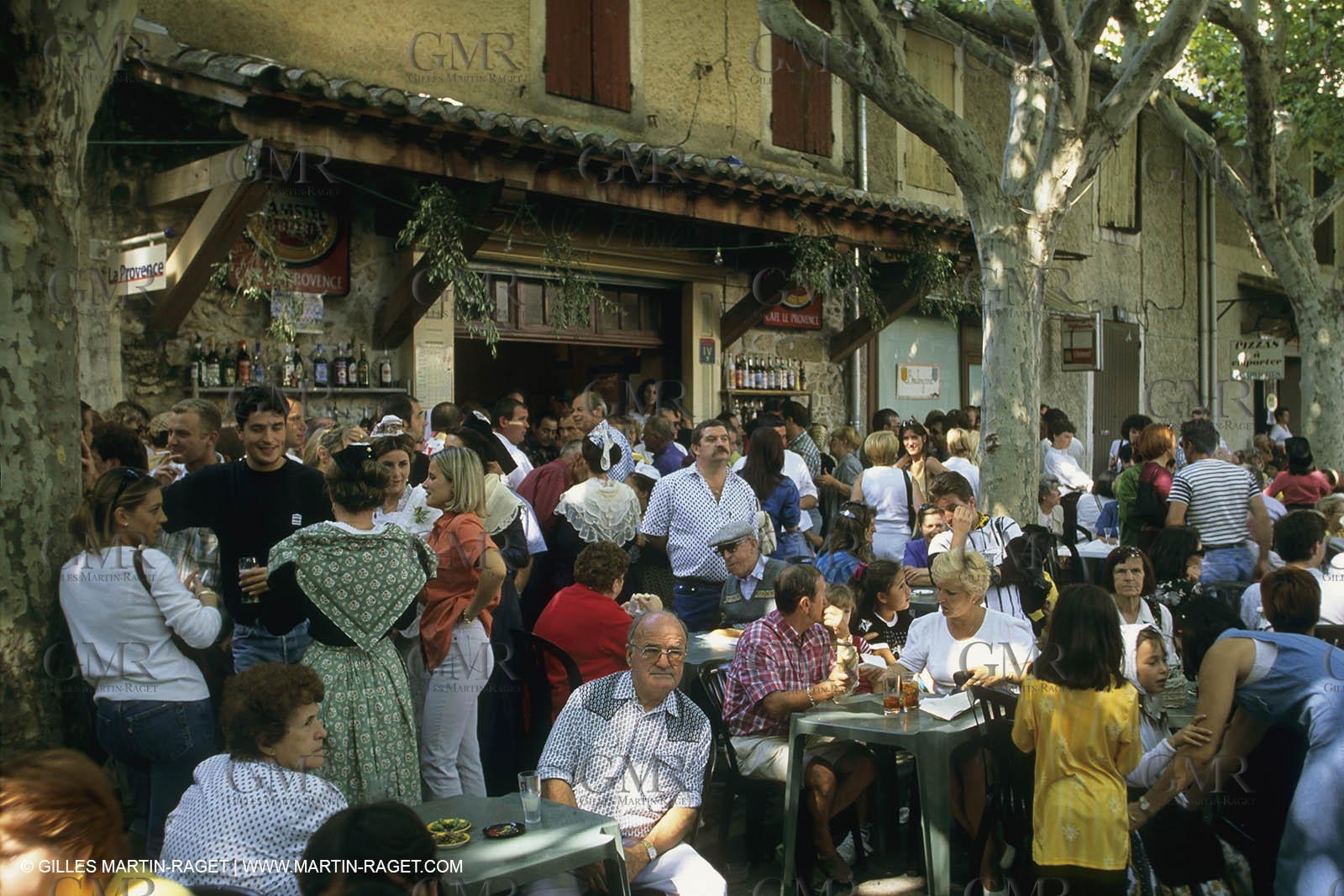 France, Provence, Saint-Rémy de Provence, Careto ramado (Char fleuri)