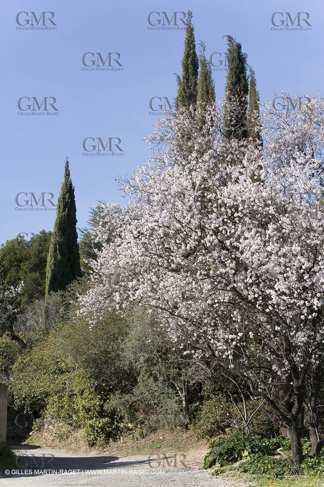 05 02 2008 - Arles (FRA, 13) - Arles surroundings landscapes
