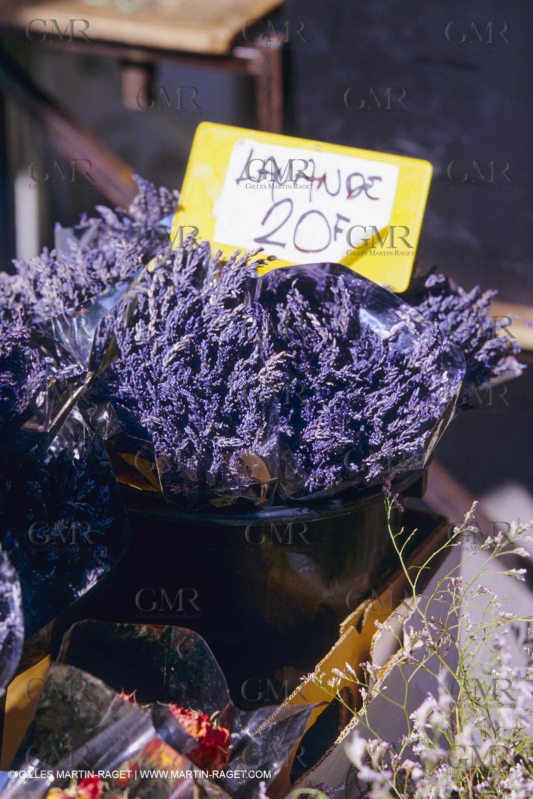 France, Provence, Higher Provence, Valensole Plateau, Lavender