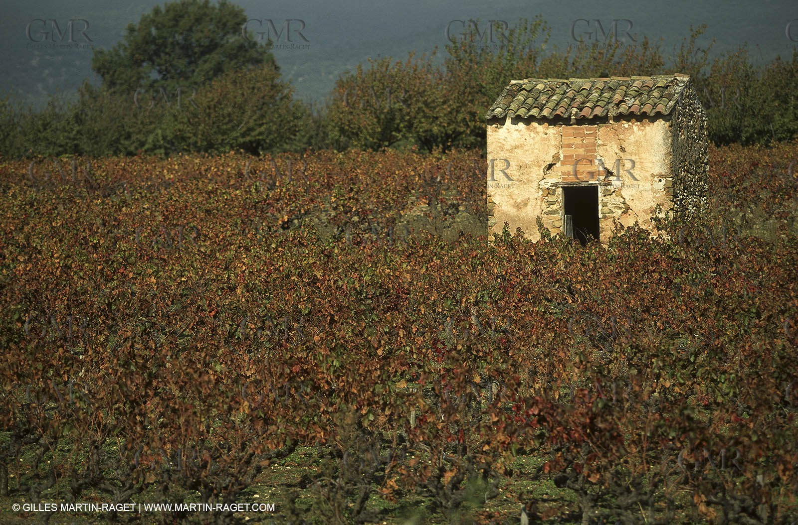 Luberon (FRA,84), Fall colors