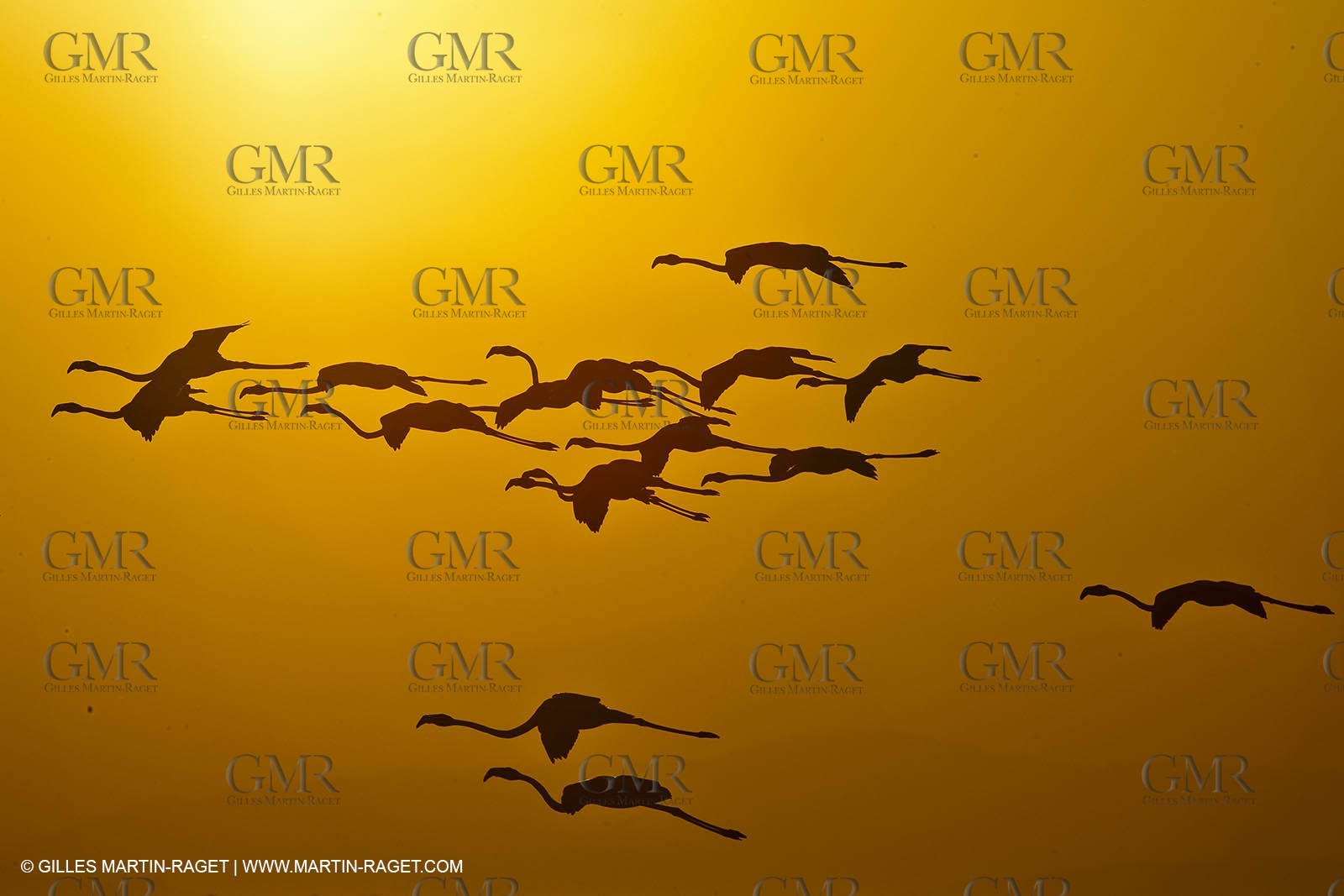 25 05 2011 - Les Saintes Maries de la Mer (FRA,13) - gypsies gathering