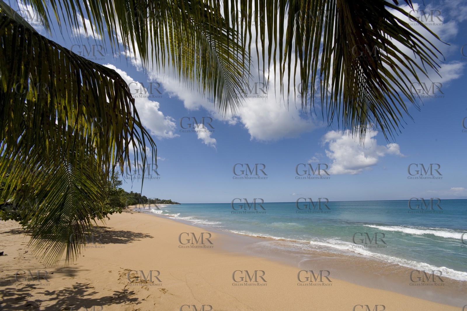 06 11 2006 - Pointe à Pitre Guadeloupe (FRA) - Arrivée Route du Rhum 2006 - Thelier Claude (Region Guadeloupe)