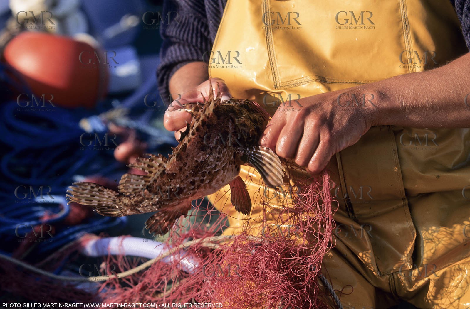 Marseille (FRA,13), Fishing