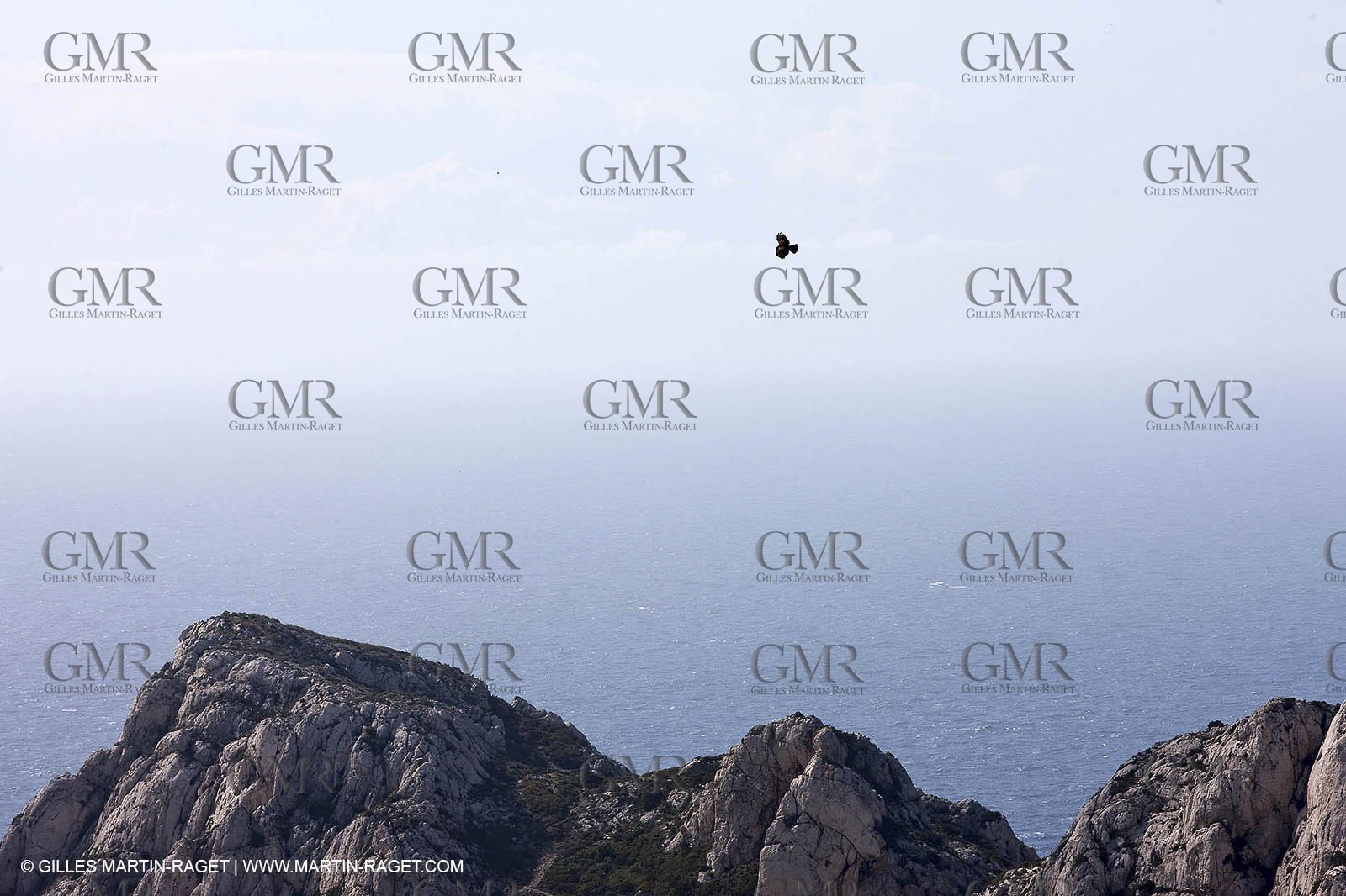 16 04 2009 - Marseille (FRA, 13) - Les Calanques - Sparrowhawk at Sormiou