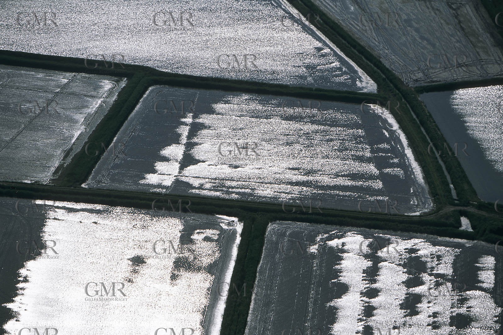 Camargue (FRA,13) - Little Camargue