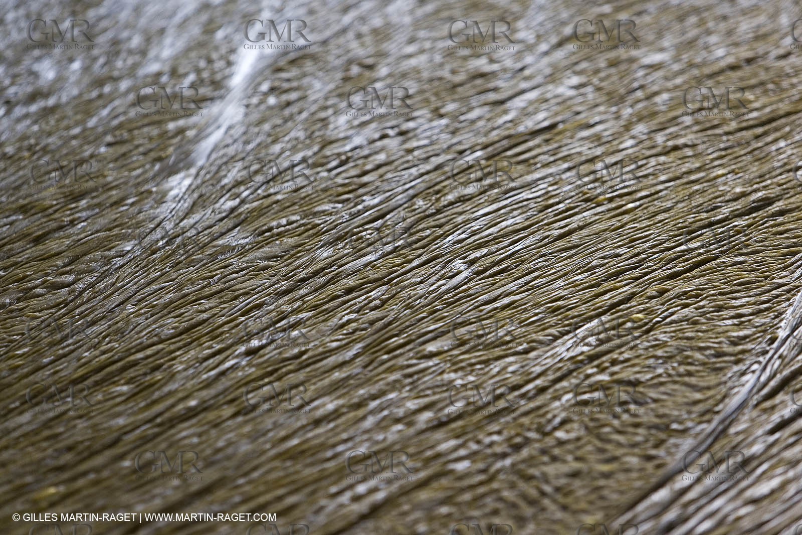01 02 2007 - Salon de Provence - Fabrication traditionelle du savon de Marseille aux savonneries Marius Fabre - couche supérieure de la pâte à savon avant surfaçage**01 02 2007 - Salon de Provence - Traditional soap of Marseille making at Marius Fabre soap maker - uppper level of the soap past before equalization
