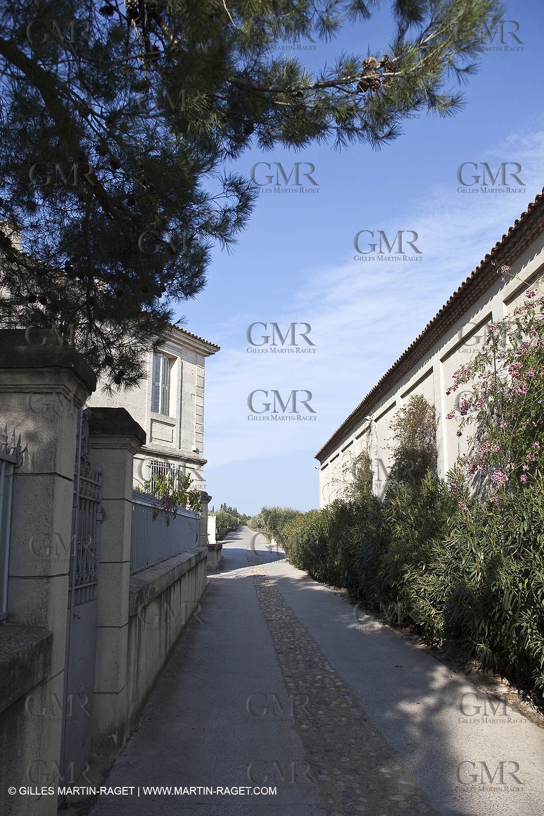 Saint Drézéry (FRA, 34), Domaine de Puech Haut