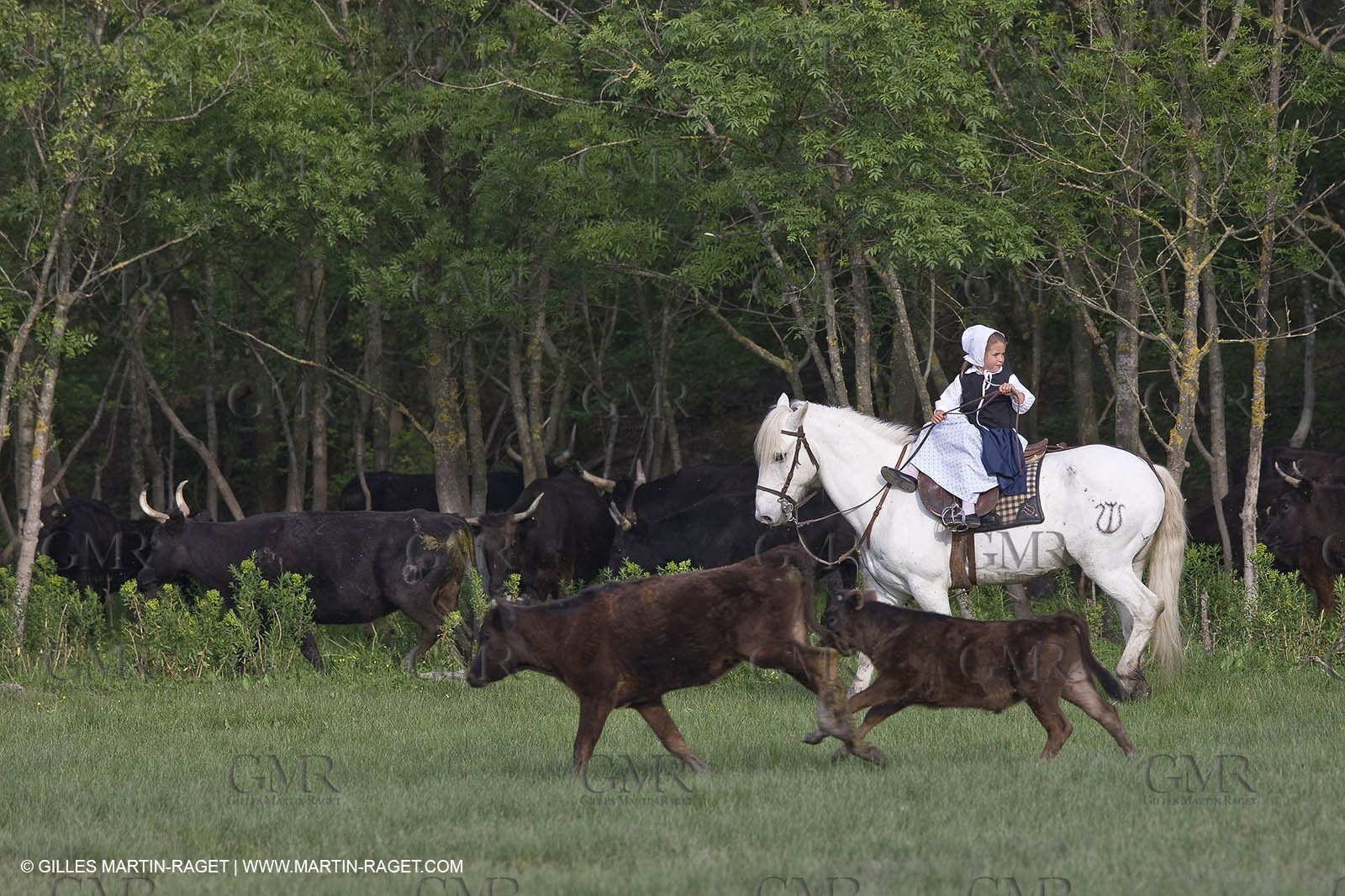07 05 2008 - Le Cailar (FRA,30) - Stock work at Mas du Pont de Laute domain