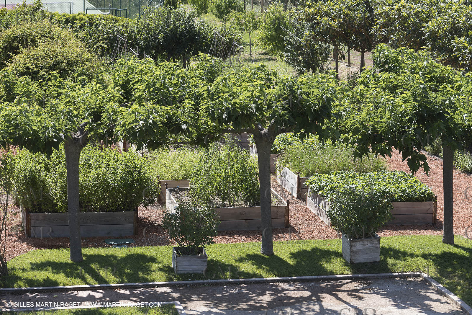 22 06 2018, Saint-Saturnin les Apts (FRA,84), Domaine des Andéols