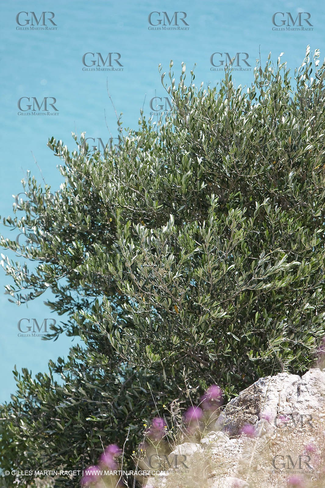 27 05 2009 - Marseille (FRA, 13) - Les Calanques - Sormiou