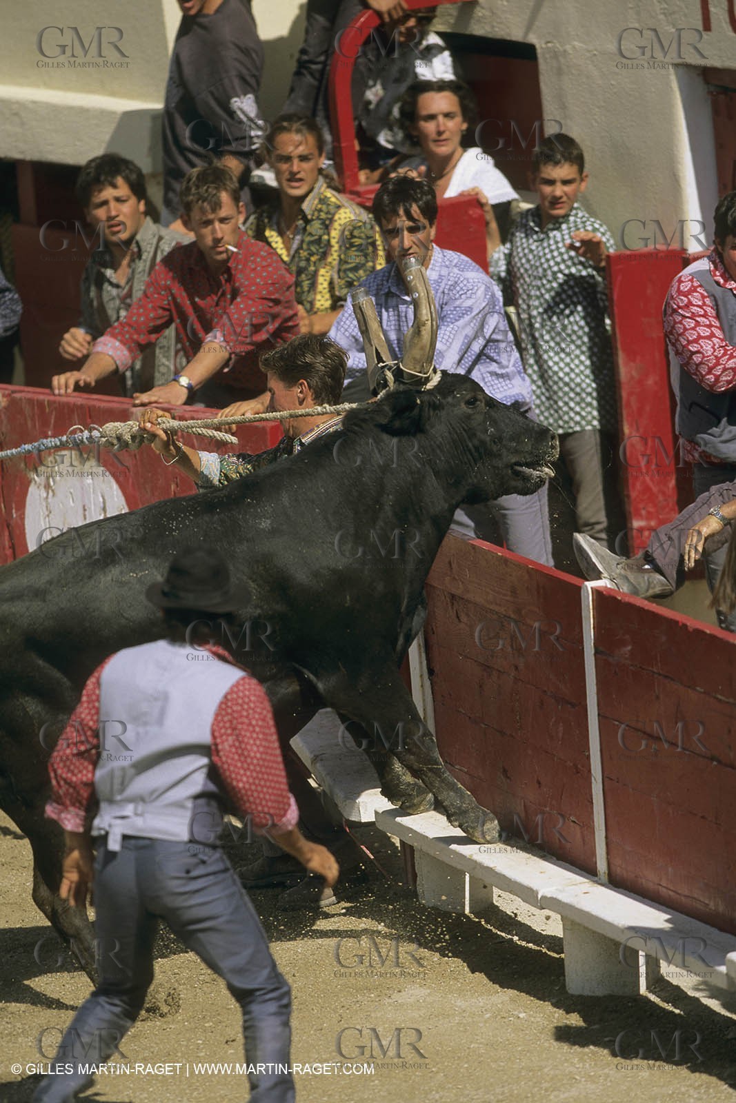 France, Provence, Course libre