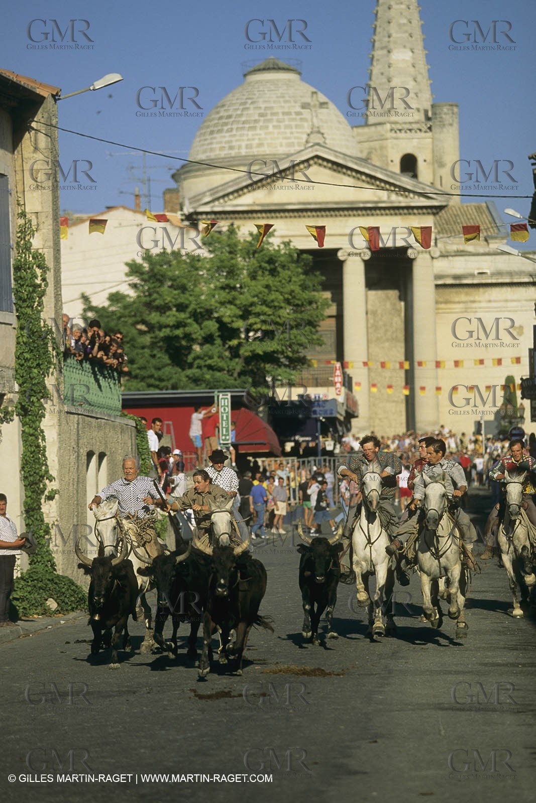 France, Provence, Saint-Rémy de Provence, Careto ramado (Char fleuri)