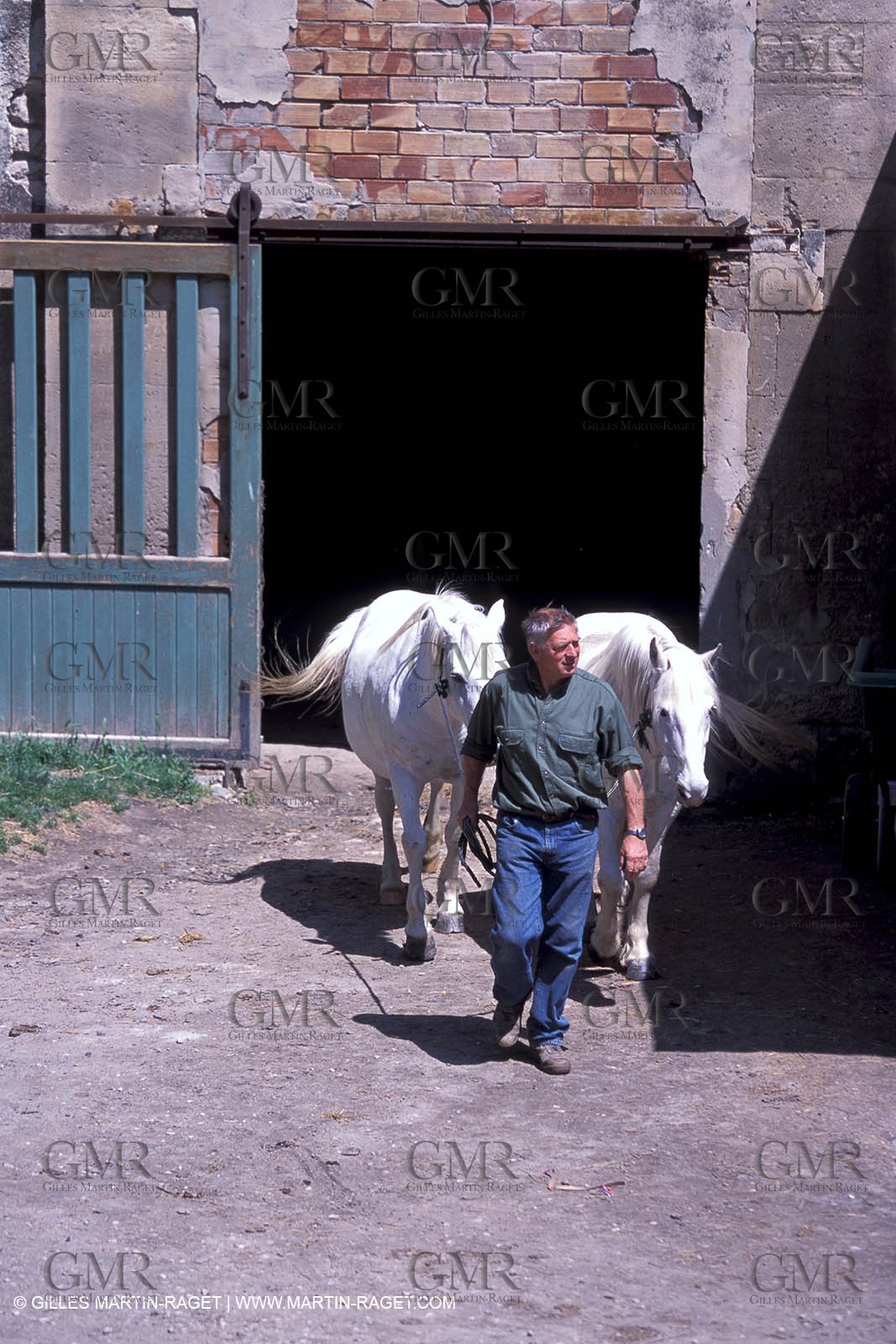 Arles - Travail des gardians de Camargue