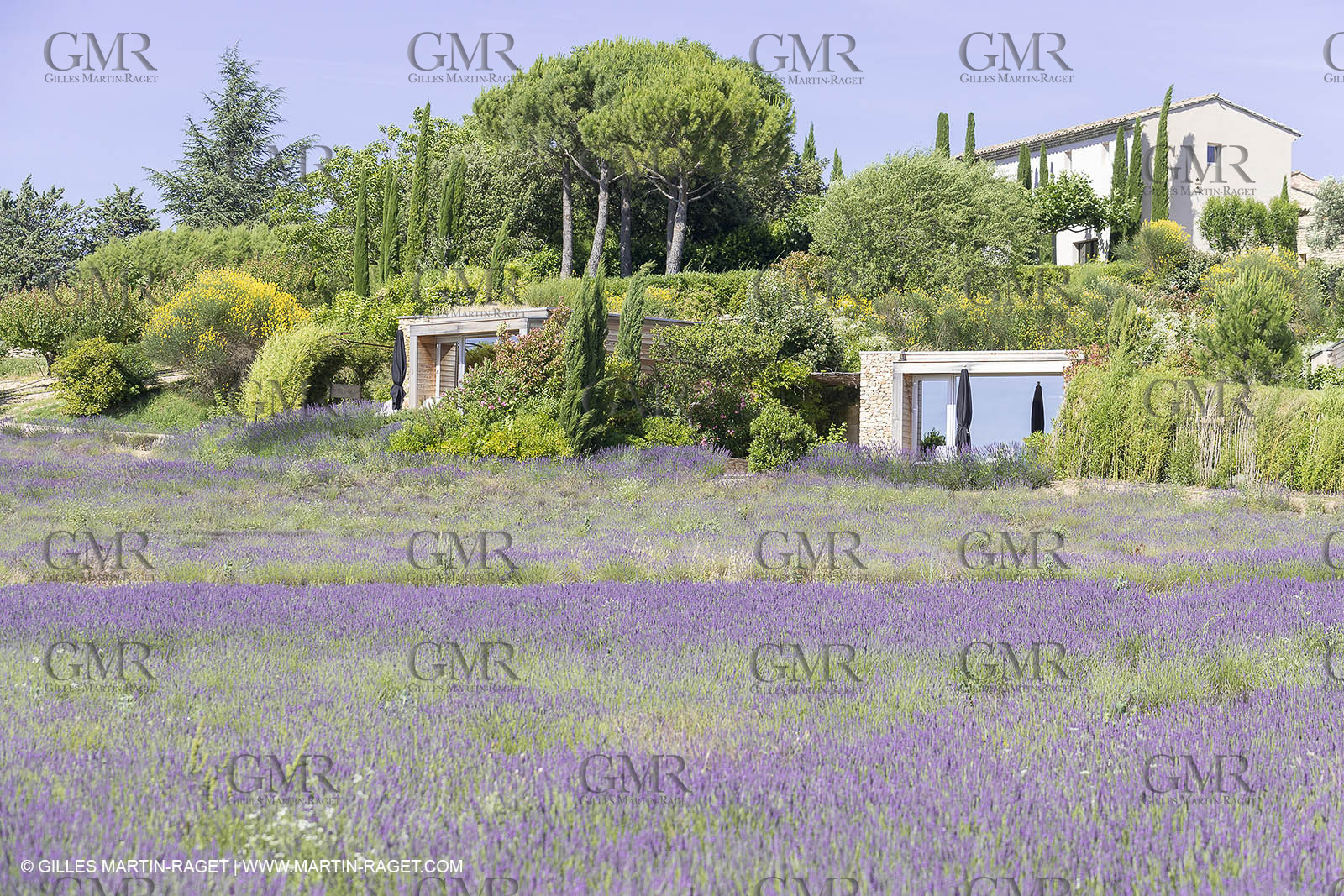 22 06 2018, Saint-Saturnin les Apts (FRA,84), Domaine des Andéols