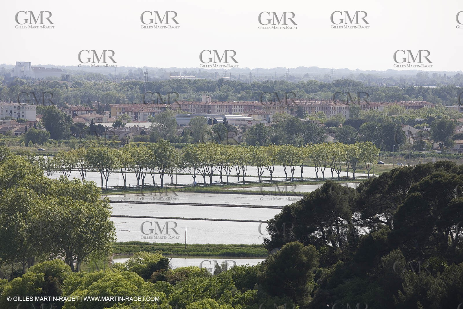 04 05 2008 - Arles (FRA,13)  - Montmajour Abbeye
