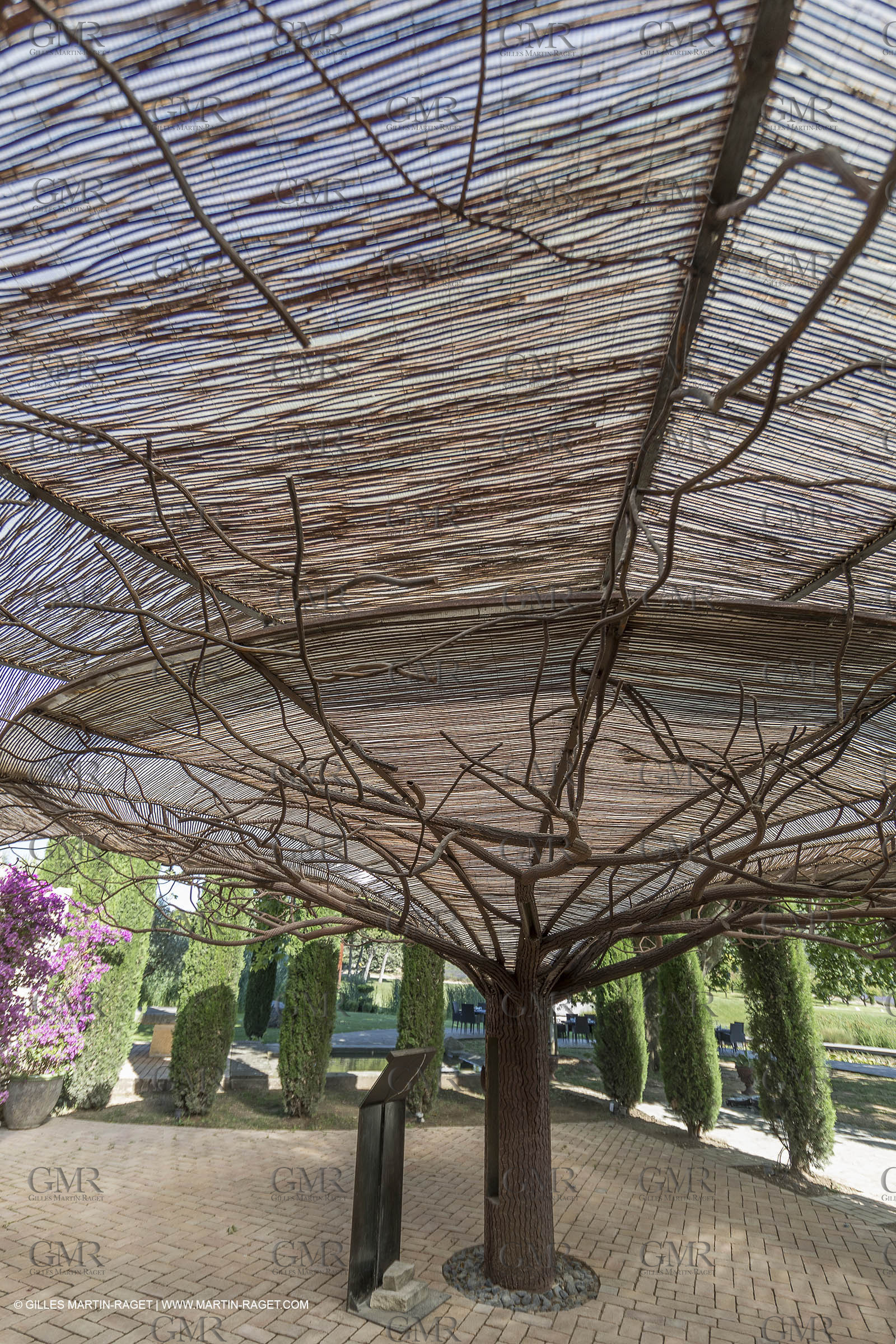 22 06 2018, Saint-Saturnin les Apts (FRA,84), Domaine des Andéols