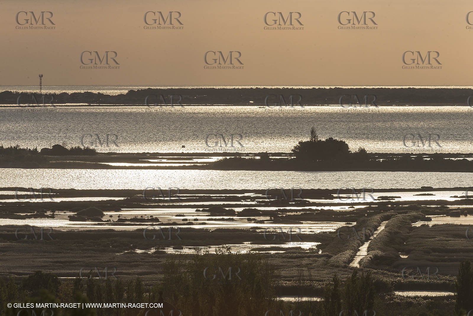 07 10 2014, Etang de Leucate (Fra,66)