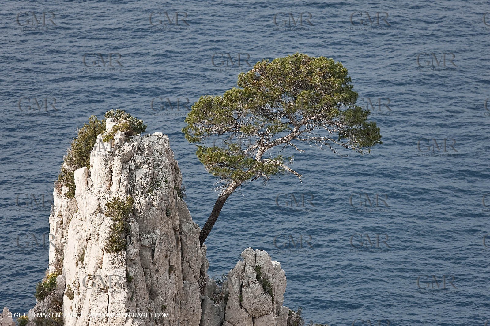 20 03 2009 - Marseille (FRA, 13) - Les Calanques - Pic de l'Eissadon and devenson cliffs