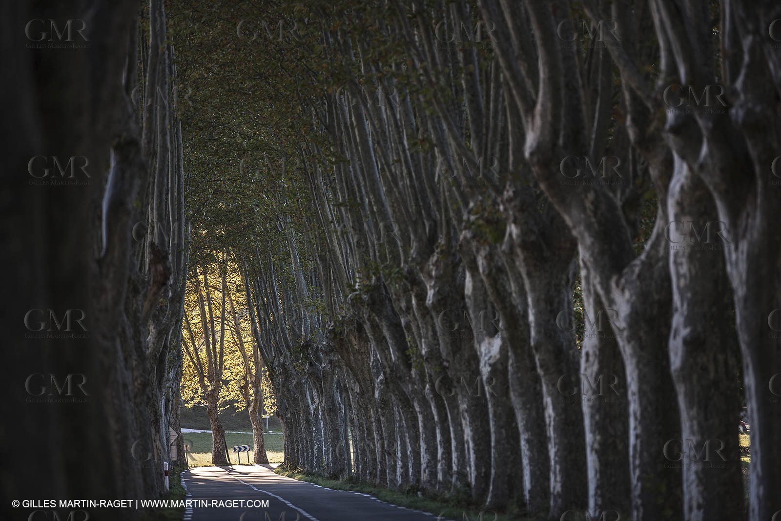 15 10 2012 - Encrême valley, near Céreste