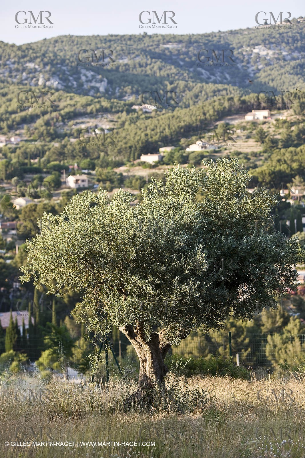 26 06 09 - Sanary sur mer (FRA,83)