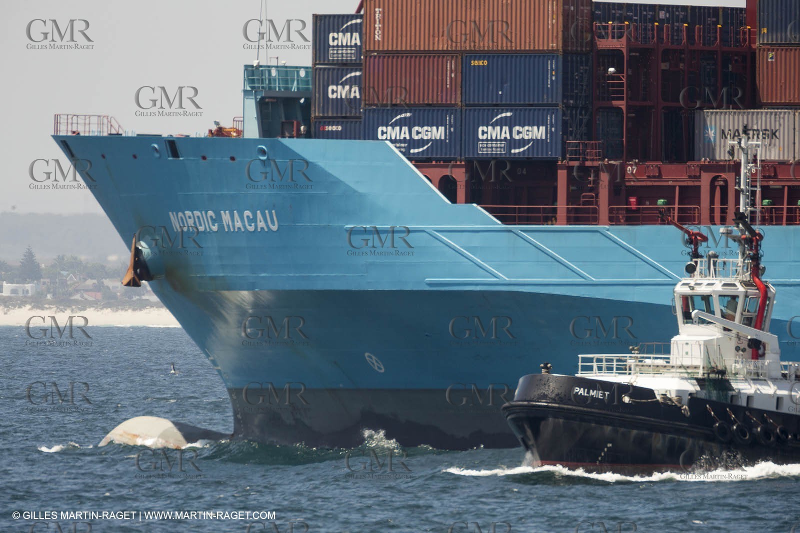 12 11 2014, Capetown (ZAF), Volvo Ocean Race 2014-15, Team Alvimedica goes back training