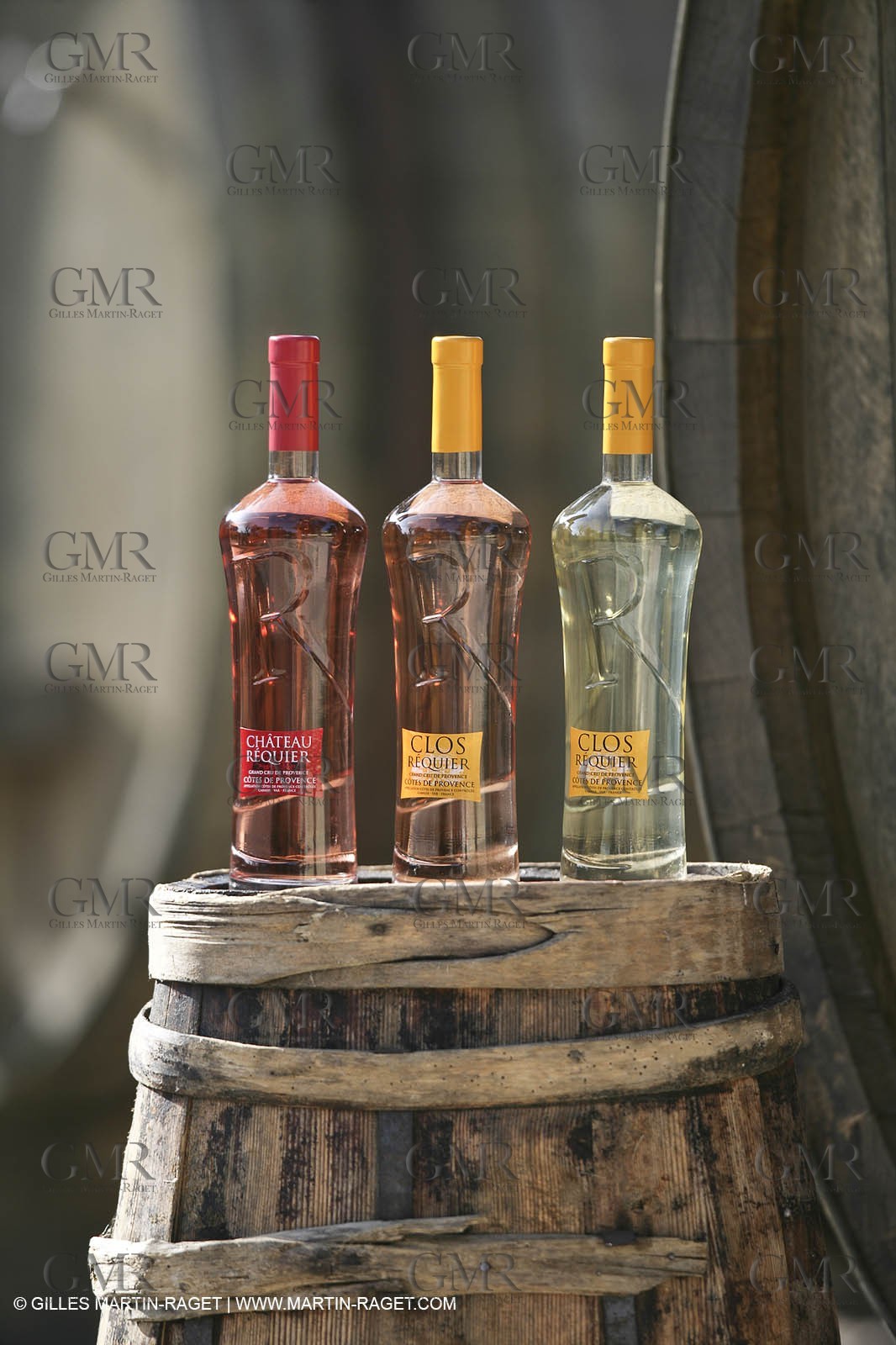 28 02 2008 - Cabasse (FRA, 83) - Domaine du Lac vines