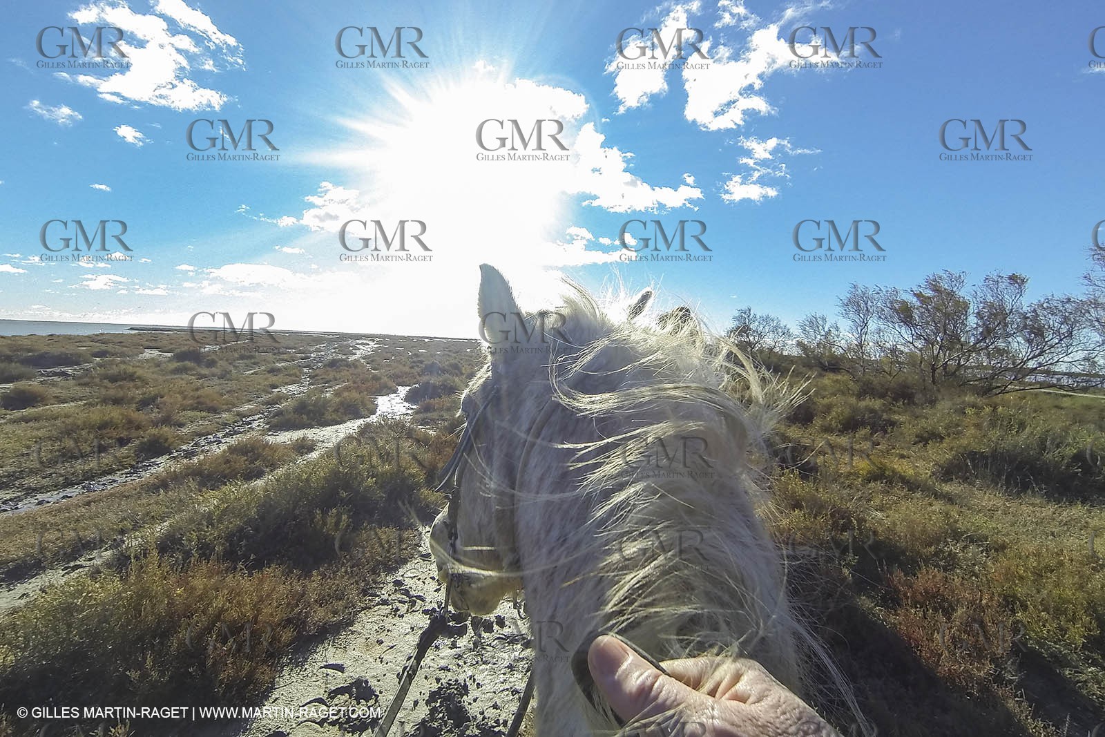 26 12 2013 - Les Saintes Maries de la Mer (FRA,13) - Promenade à cheval au Cabanes de Cacharel