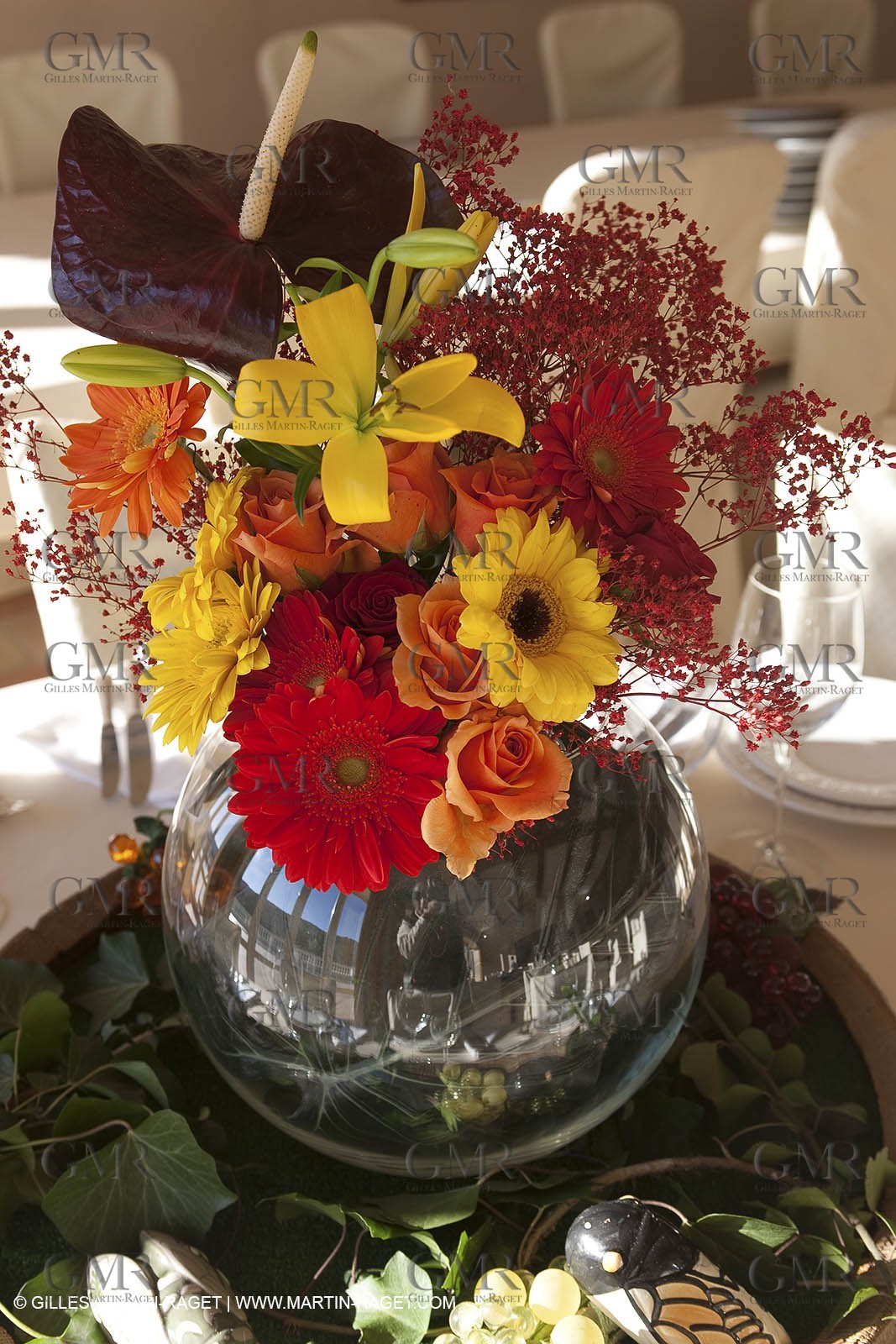 22 12 2008-Cabasse (FRA,83) - Domaine du Lac