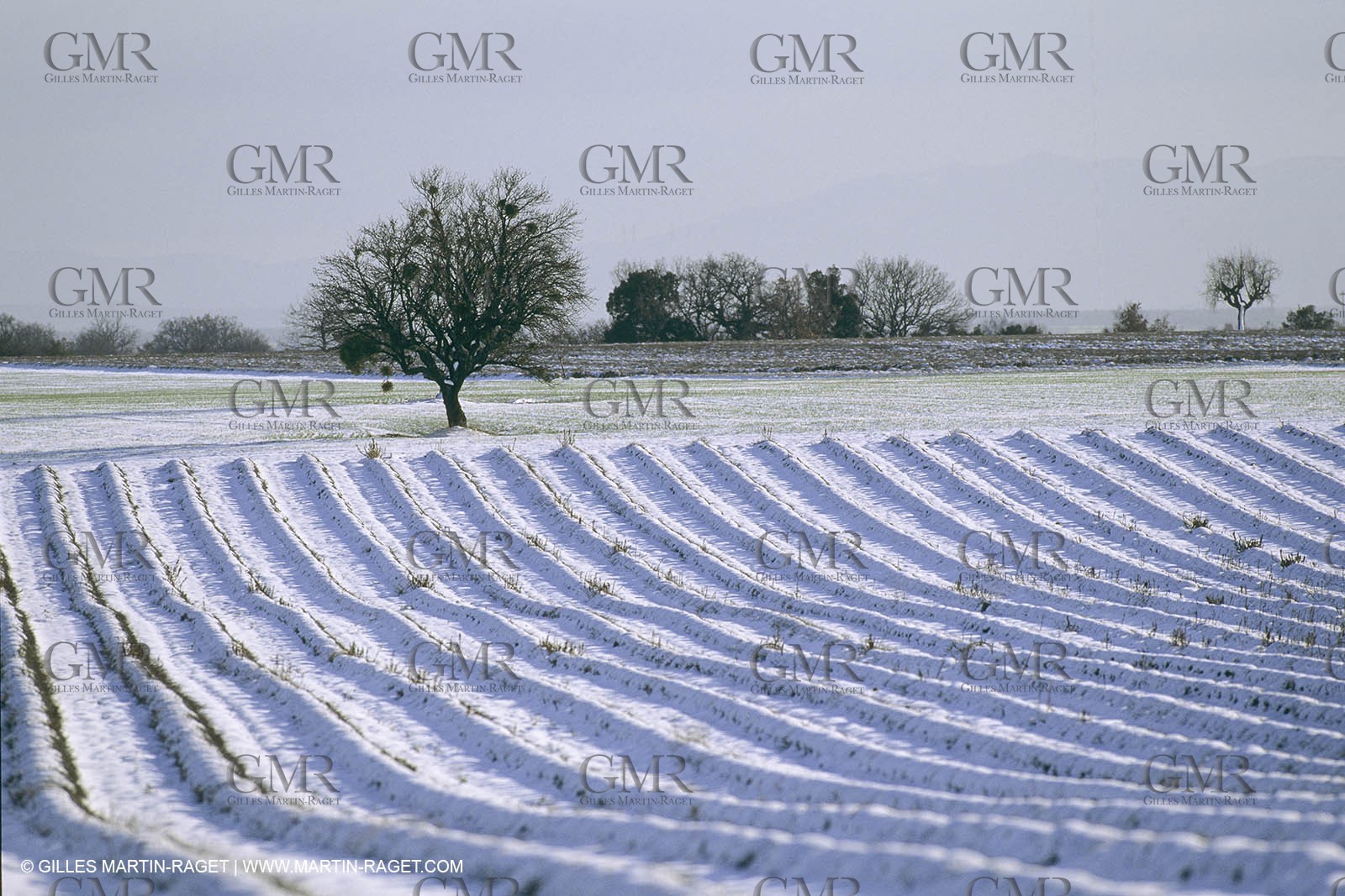 France, Provence, Neige en hiver   Snow in Provence