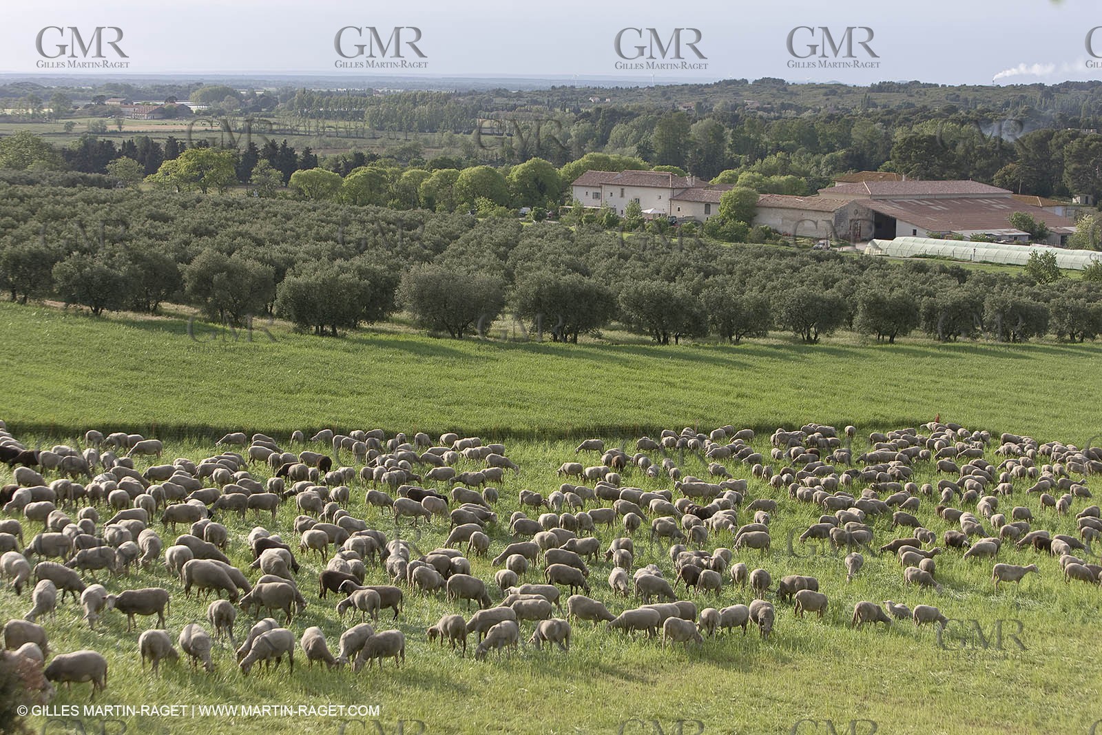 04 05 2008 - Arles (FRA,13)