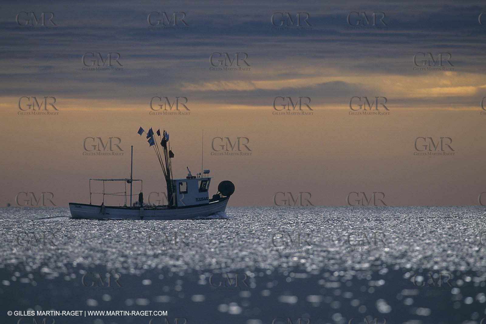 France, Provence, Pêche, barques, pointus, pêheurs, poissons